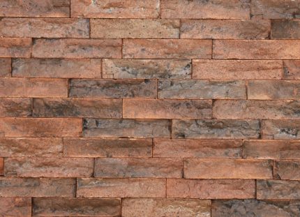 اجرنسوز نما صخره ای AST115